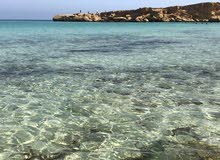 ثلاجة مية نوعية هومر ثلاجة مية نوعية هومر