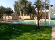 مزرعه جدا راقيه فيه بركاء للبيع من المالك مباشر مزرعه جدا راقيه فيه بركاء للبيع من المالك مباشر