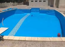 حمامات سباحه حمامات سباحه