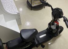 سكوتري سكوتري