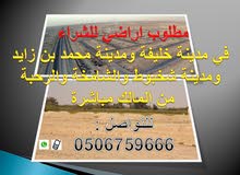 مطلوب للشراء اراضي في مدينة خليفة او مدينة محمد بن زايد او مدينة شخبوط مطلوب للشراء اراضي في مدينة خليفة او مدينة محمد بن زايد او مدينة شخبوط