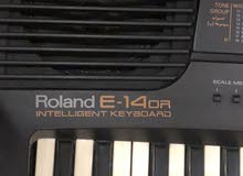 E14 Roland