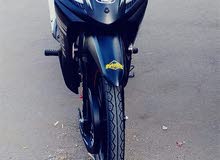 SANYA FICE SANYA FICE
