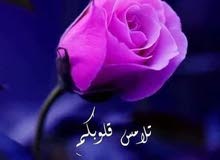 علاجات طبيعية للبشرة والشعر كل محتواها طبيعي مئة بالمئه علاجات طبيعية للبشرة والشعر كل محتواها طبيعي مئة بالمئه
