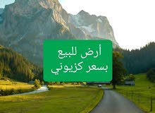 قطعة ارض للبيع في بن عاشور بالسعر كازيوني قطعة ارض للبيع في بن عاشور بالسعر كازيوني