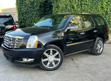 Cadillac Escalade Platinum in Amman