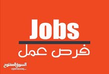 مطلوب مصممة واجهات اعلانية مطلوب مصممة واجهات اعلانية
