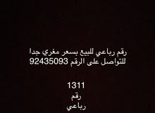 رقم 1311 رقم 1311