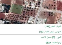 Farm Land for Sale in Irbid Al-Mughayer