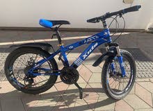 blue-black bike for kids