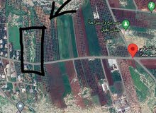 Mixed Use Land for Sale in Irbid Taqbal