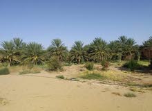مزرعة للبيع مزرعة للبيع