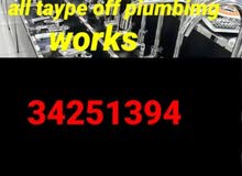 All type of plumbing work and bulding mantinace all
