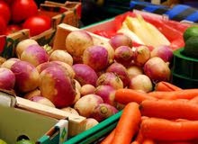 خضار وفواكه بالجمله يوميا طازجه خضار وفواكه بالجمله يوميا طازجه