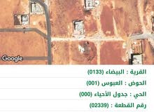اراضي للبيع : قطعة ارض للبيع : قوشان اراضي استثمارية : البيضاء عمان البيضاء  | السوق المفتوح