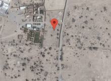600 OMR land for rent in Rumais ارض للايجار في الرميس 600 OMR land for rent in Rumais ارض للايجار في الرميس