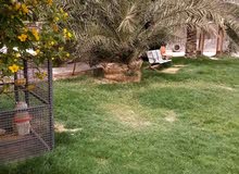 دوانم للبيع مهيجران دوانم للبيع مهيجران