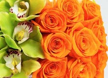 مطلوب منسق زهور خبره مطلوب منسق زهور خبره