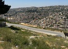 Residential Land for Sale in Salt Al Salalem