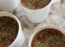 مالح اسماك جيدر وسهوه 13كيلو ب زيله مالح اسماك جيدر وسهوه 13كيلو ب زيله