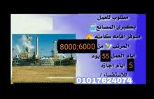 مطلوب شباب للعمل في كبري المصانع مطلوب شباب للعمل في كبري المصانع