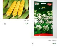 بذور خضروات بذور خضروات