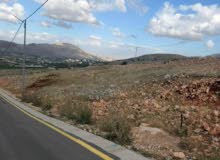 Residential Land for Sale in Nablus Taluza