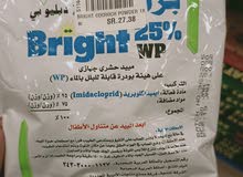 معلمة خصوصية للصفوف الأولية وأطفال الروضة معلمة خصوصية للصفوف الأولية وأطفال الروضة