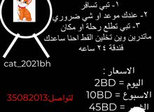 فندقة قطط فندقة قطط