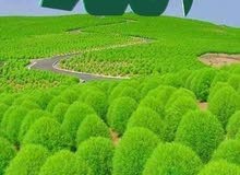 ابحث عن عمل ابحث عن عمل