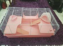 pink cage for cuties, dogs or cats