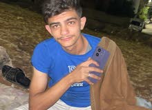 حمار اشهب للبيع