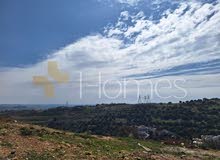 Residential Land for Sale in Amman Dabouq