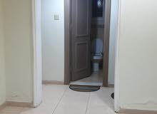 شقه عوائل للايجار شقه عوائل للايجار