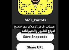 اعلان مجاني لجميع انواع الطيور والحيوانات اعلان مجاني لجميع انواع الطيور والحيوانات