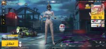 Pubg Accounts and Characters for Sale in Dubai