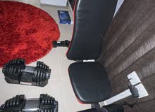 chair with dumbbells chair with dumbbells
