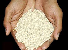 للبيع 76 طن سمسم مقشور قادم من أثيوبيا من نوع Wollega Sesame للبيع 76 طن سمسم مقشور قادم من أثيوبيا من نوع Wollega Sesame