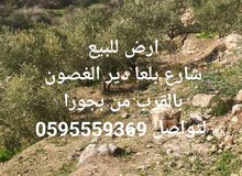ارض للبيع على شارع بلعا دير الغصون بالقرب من بجورة و مفرق اكتابا