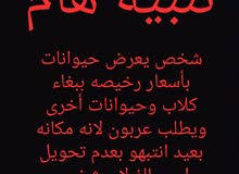 تحذير بعدم تحويل عربون تحذير بعدم تحويل عربون