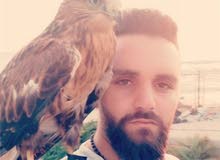 صقر مرووض ولف صقر مرووض ولف