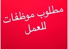 موظفات للعمل بشركة تأمين موظفات للعمل بشركة تأمين