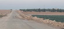 أرض للبيع في جنوب عمان خان الزبيب