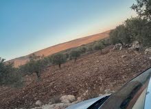 Residential Land for Sale in Jenin Al-Judeida