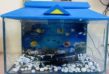 Aquarium for sale Aquarium for sale