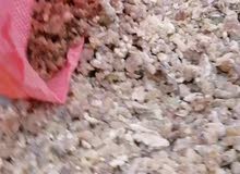 للبيع لبان حوجري من حاسك صلاله ظفار عمان للبيع لبان حوجري من حاسك صلاله ظفار عمان