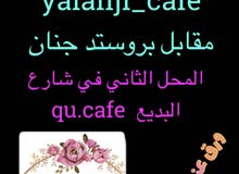 متوفر لدينا ورق عنب متوفر لدينا ورق عنب