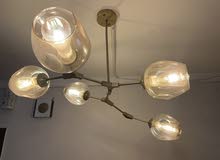 5 Bulb Metal Pendant Lamp