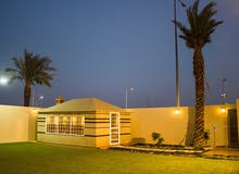 العشب الصناعي العشب الصناعي