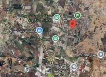 Farm Land for Sale in Amman Al Yadudah